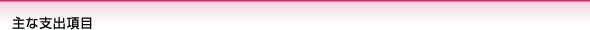 主な支出項目